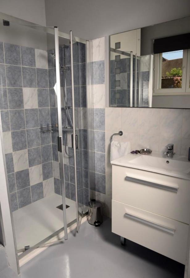 Apartament Gite Chez Madeleine Louhans Zewnętrze zdjęcie